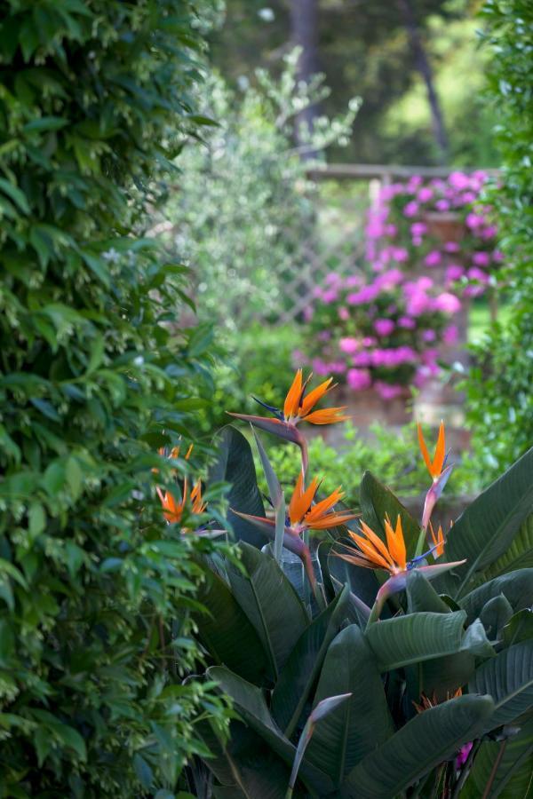 La Cervara Bed & Breakfast ซานตา มาร์เกอริตา ลีกูเร ภายนอก รูปภาพ